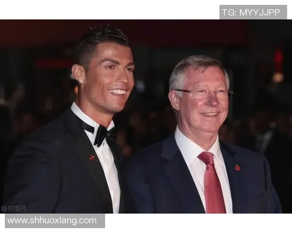 足球明星退役背后的原因与人生选择深度解析