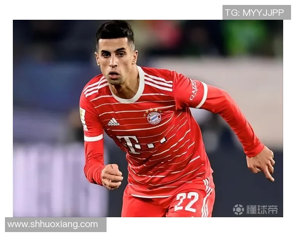 坎塞洛：从边后卫到全能球员的华丽转身与未来展望